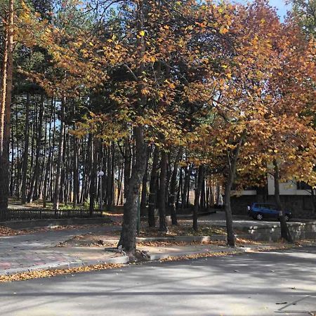 Borov Park 1 Lejlighed Velingrad Eksteriør billede