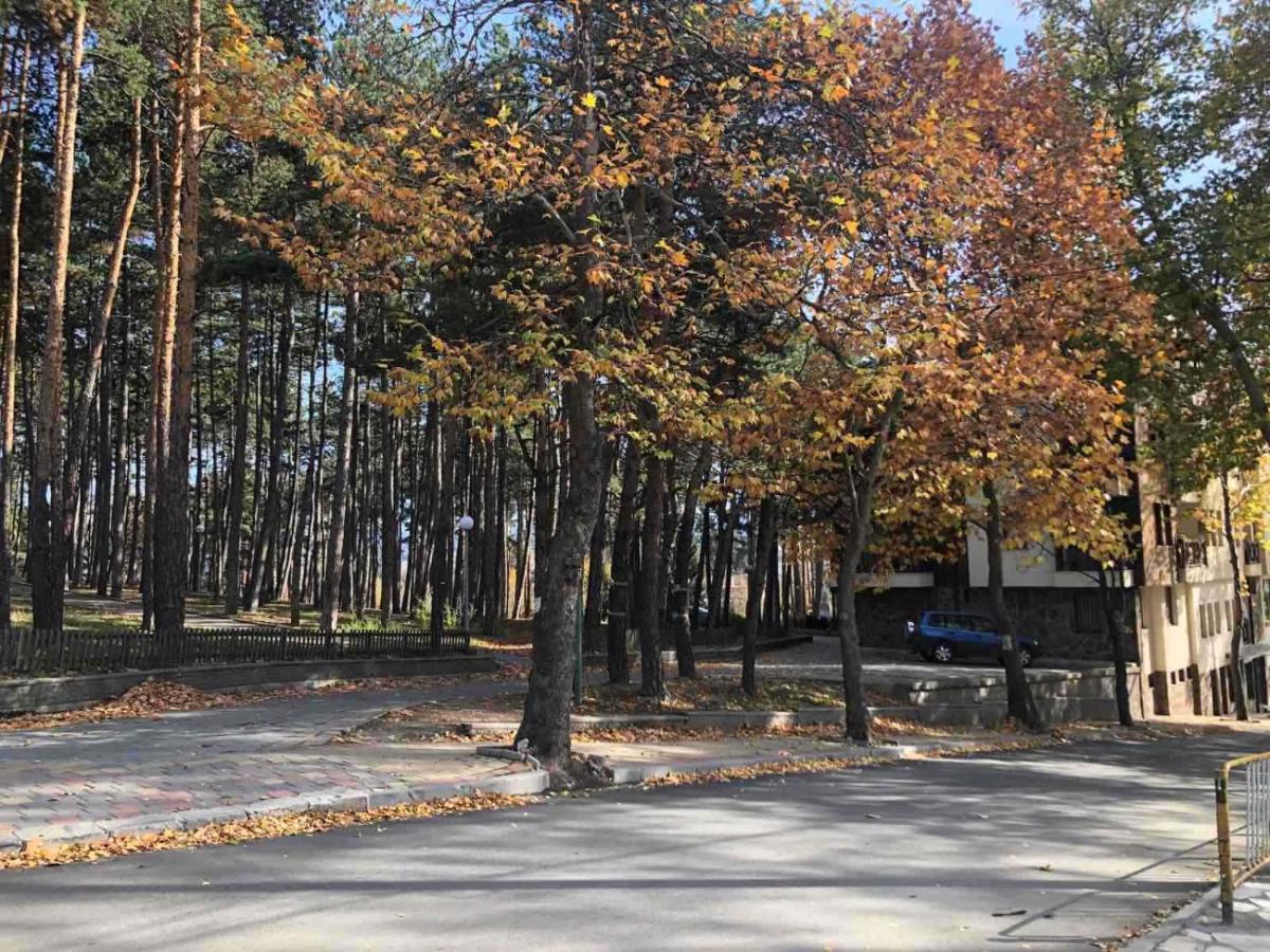 Borov Park 1 Lejlighed Velingrad Eksteriør billede